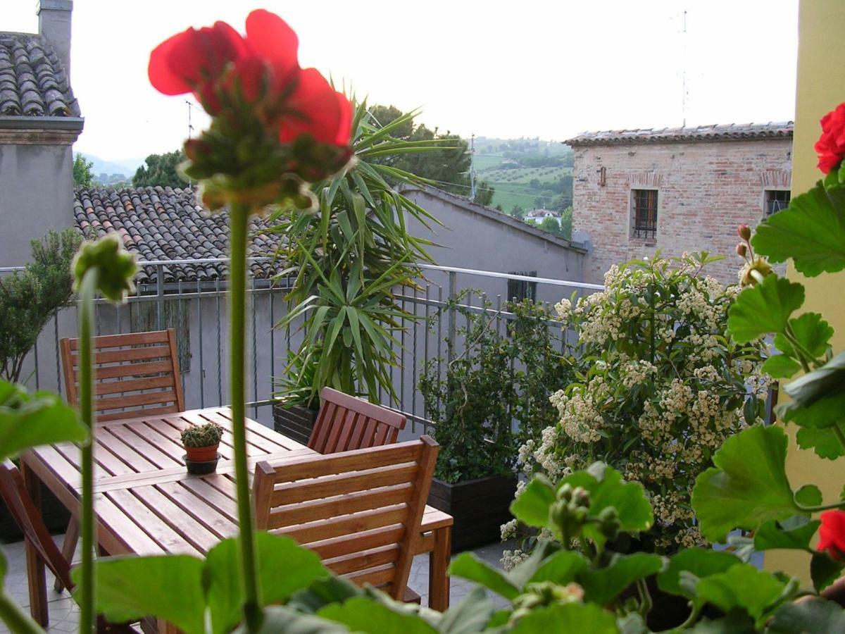 Cappone B&B Morciano di Romagna Buitenkant foto